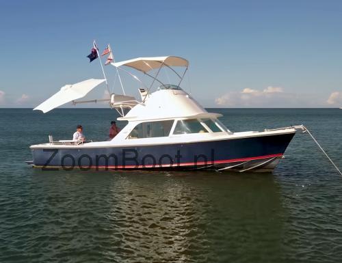 Bertram 31 Moppie specificaties